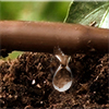 Picture of Vegetable Garden Drip Kit 