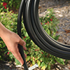 Picture of 25' Roll 1/2" Poly Tubing 