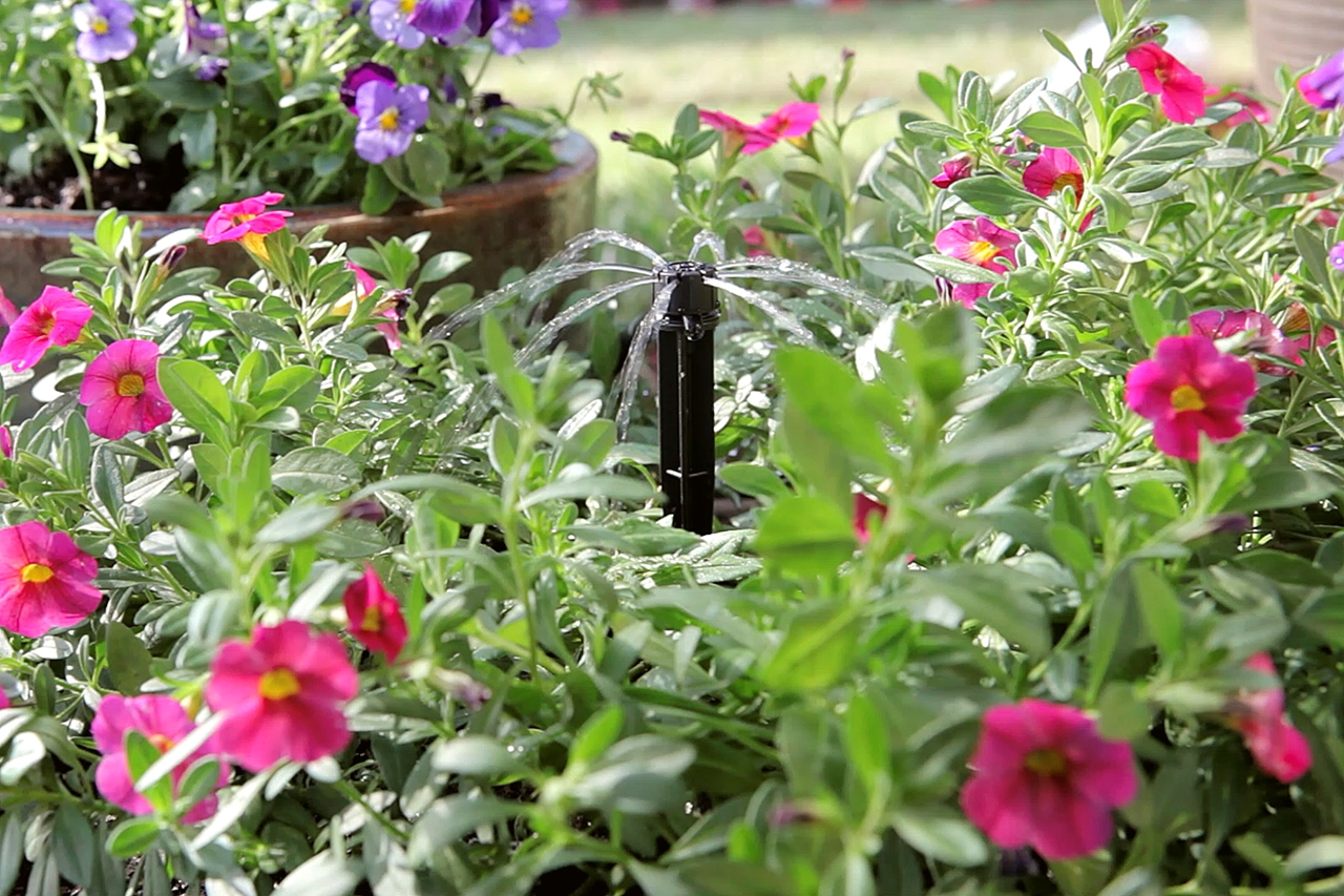 Mister Landscaper Drip Irrigation and Micro Spray. Patio & Potted Plant