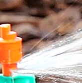 Picture of Micro Spray kit 50ft  